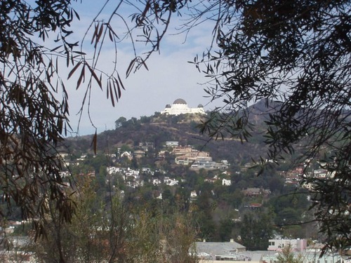 Griffith Observatory through the trees